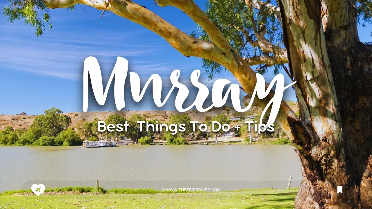 BEST Things to Do in Murray