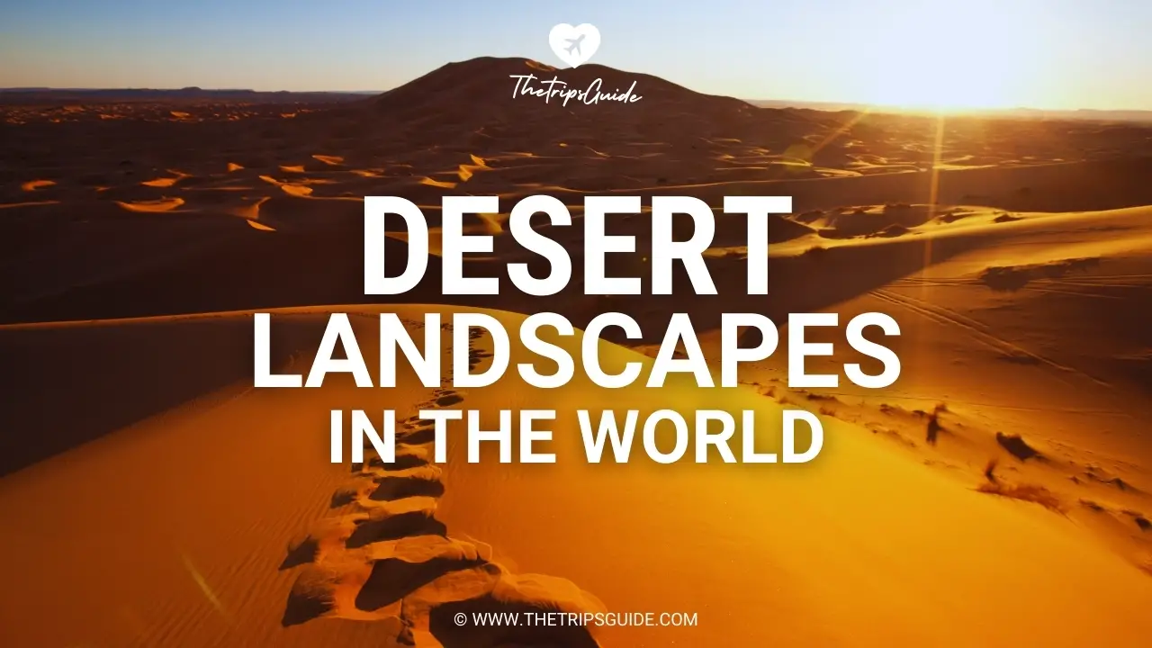 Desert Landscapes in the World
