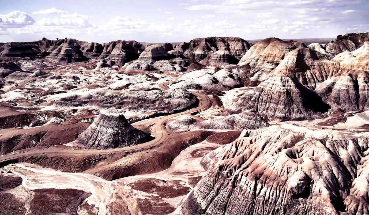 Petrified Forest National Park and Painted Desert