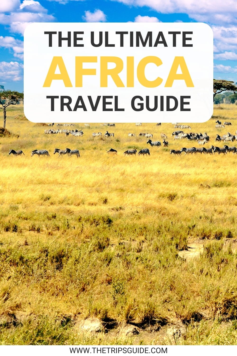 Africa travel guide