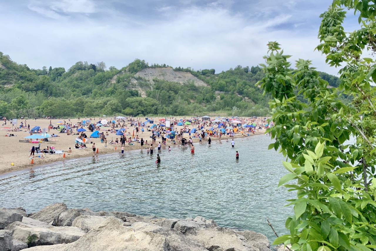 Bluffer's Park is home to the only beach along the Scarborough Bluffs