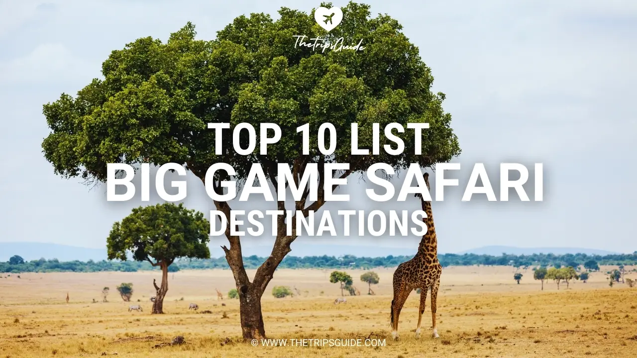 Top 10 List of Famous Big Game Safari Destinations