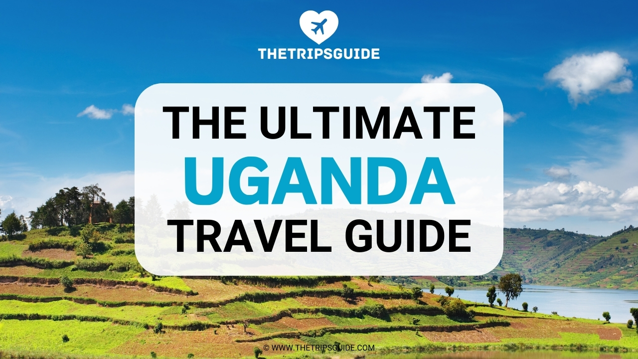 Uganda Travel Guide